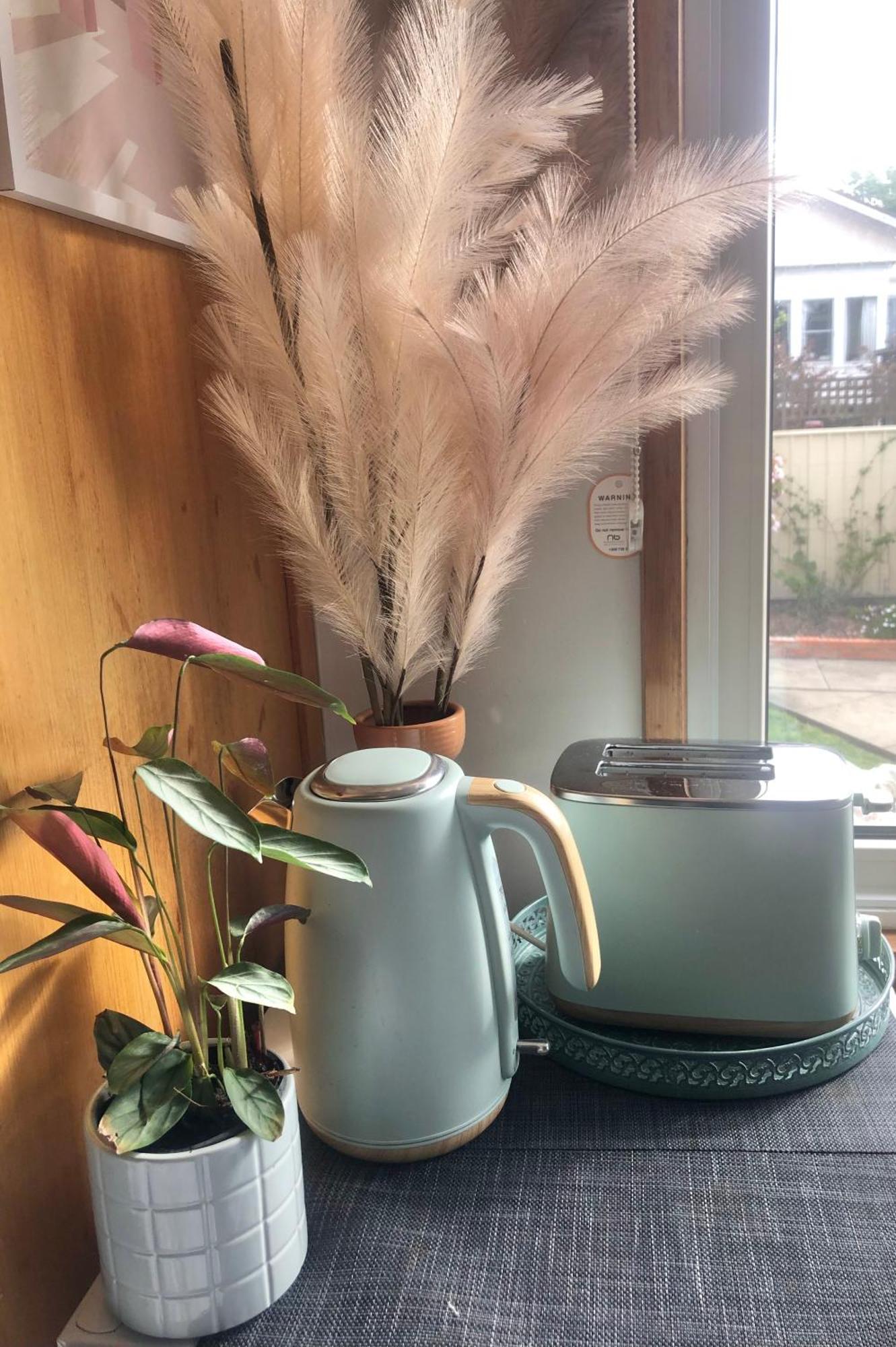 Lovely Budget Vegan Homestay Launceston Buitenkant foto